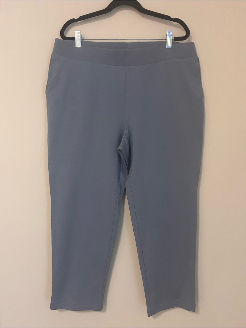 J. Jill Affinity Slim Leg Crop Pants Size Large Pull On PureJill Prvncl Blue NWT